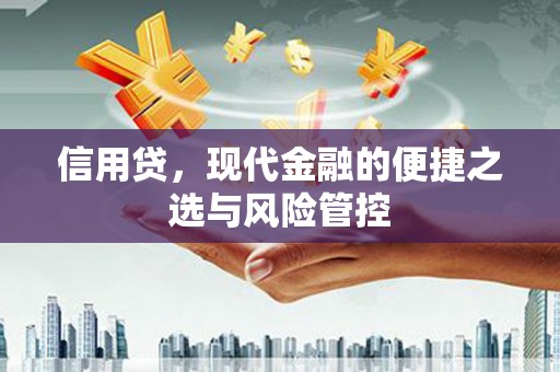 金寨信用贷，现代金融的便捷之选与风险管控