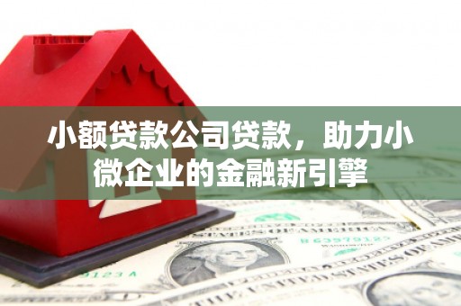 金寨小额贷款公司贷款，助力小微企业的金融新引擎