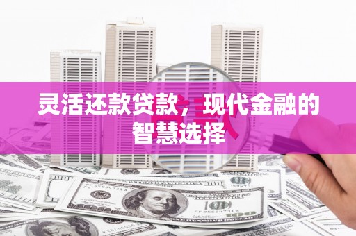 金寨灵活还款贷款，现代金融的智慧选择