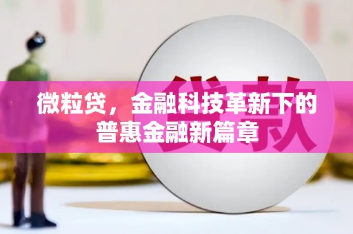 金寨微粒贷，金融科技革新下的普惠金融新篇章