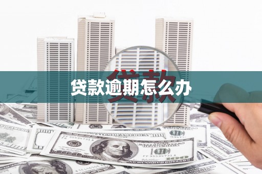 金寨贷款逾期怎么办