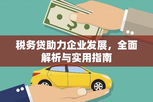 金寨税务贷助力企业发展，全面解析与实用指南
