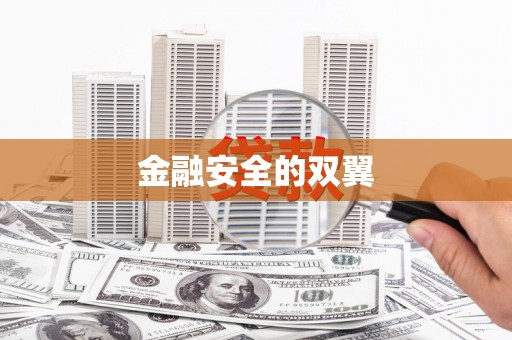 金寨金融安全的双翼