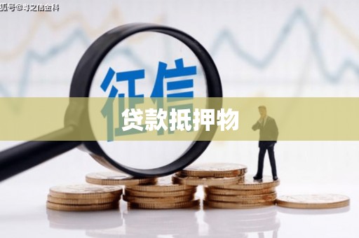 金寨贷款抵押物