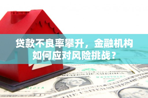 金寨贷款不良率攀升，金融机构如何应对风险挑战？
