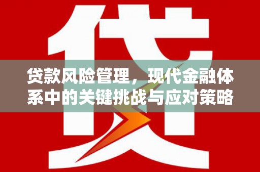 金寨贷款风险管理，现代金融体系中的关键挑战与应对策略