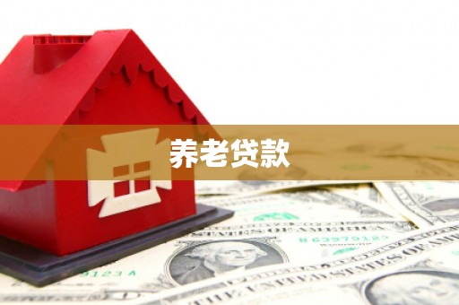 金寨养老贷款