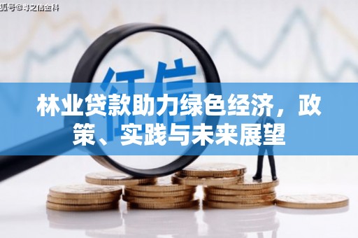 金寨林业贷款助力绿色经济，政策、实践与未来展望