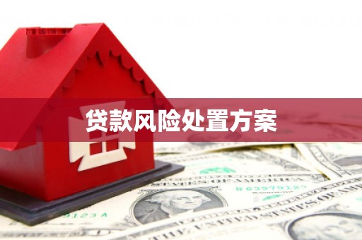 金寨贷款风险处置方案