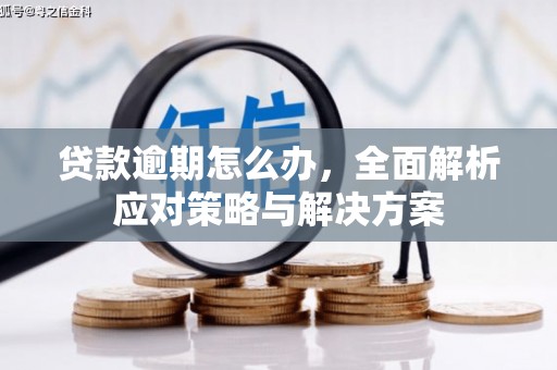 金寨贷款逾期怎么办，全面解析应对策略与解决方案