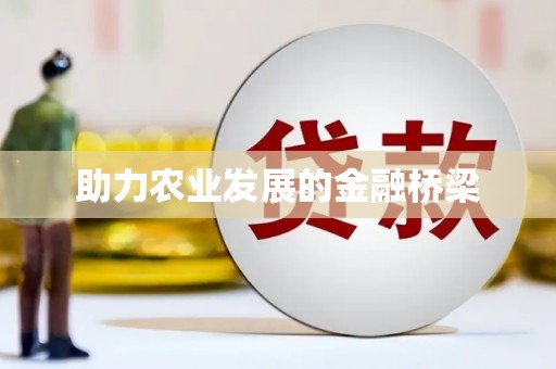 金寨助力农业发展的金融桥梁