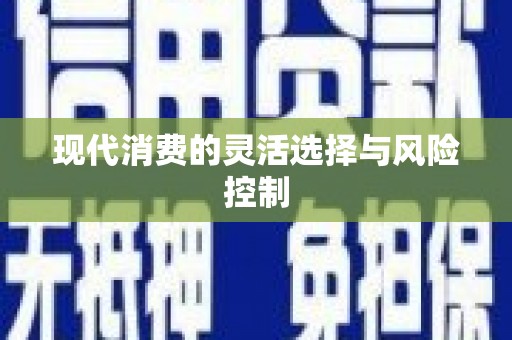 金寨现代消费的灵活选择与风险控制