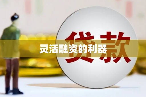 金寨灵活融资的利器