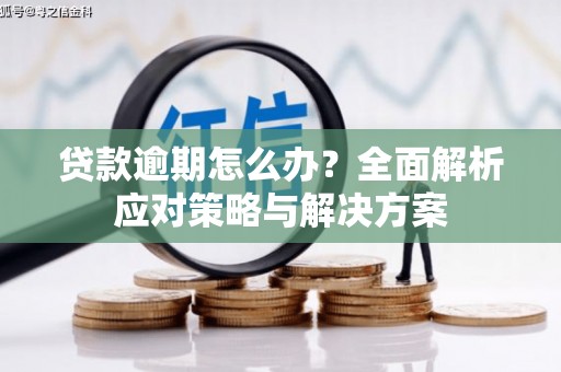 金寨贷款逾期怎么办？全面解析应对策略与解决方案