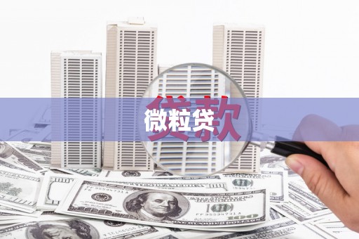 金寨微粒贷