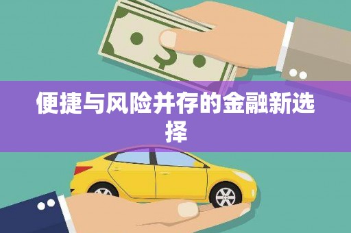金寨便捷与风险并存的金融新选择