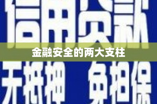 金寨金融安全的两大支柱