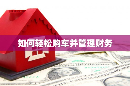 金寨如何轻松购车并管理财务