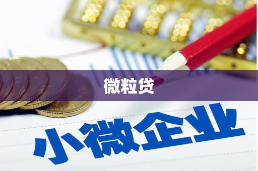 金寨微粒贷