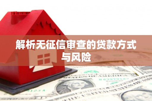 金寨解析无征信审查的贷款方式与风险