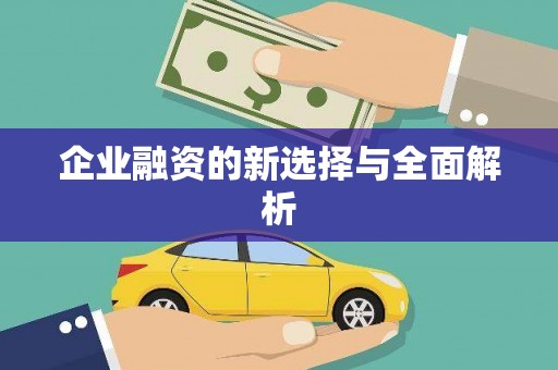 金寨企业融资的新选择与全面解析