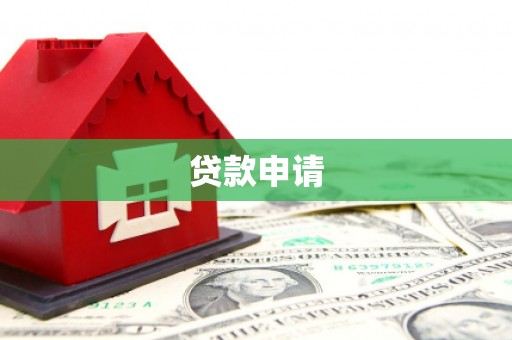 金寨贷款申请