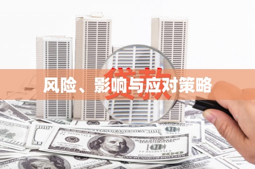 金寨风险、影响与应对策略