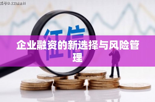 金寨企业融资的新选择与风险管理