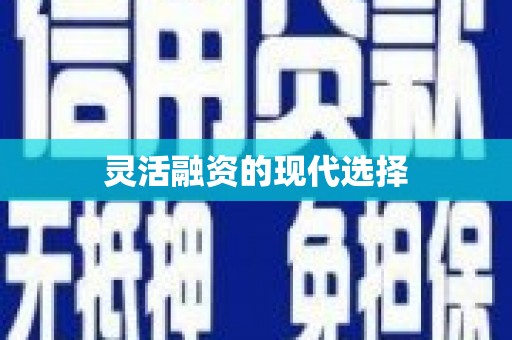 金寨灵活融资的现代选择