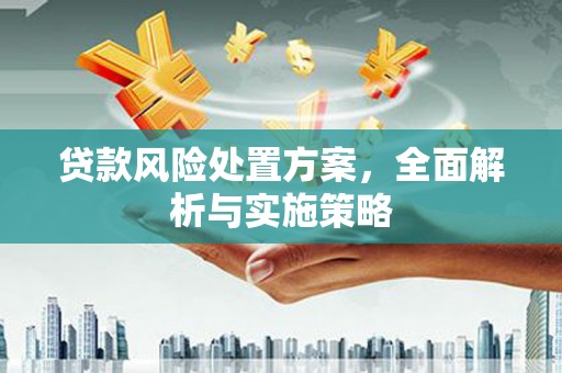 金寨贷款风险处置方案，全面解析与实施策略