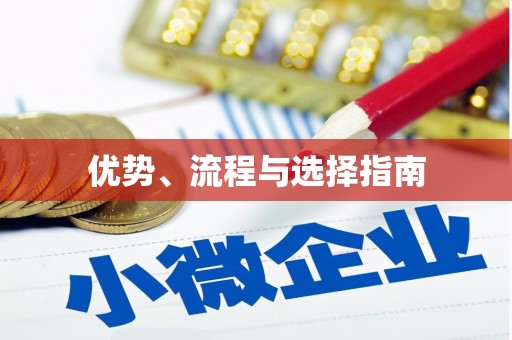 金寨优势、流程与选择指南