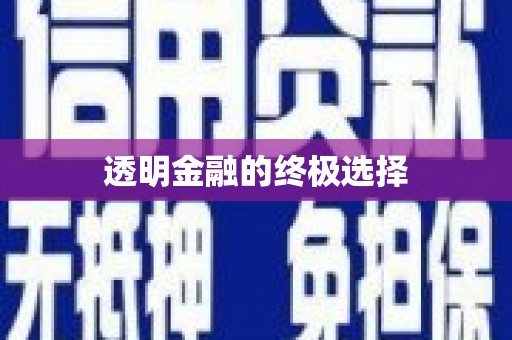 金寨透明金融的终极选择