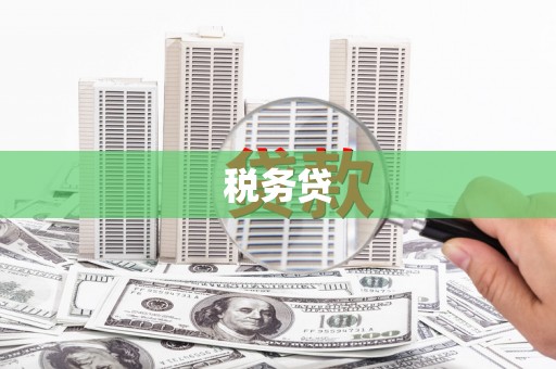 金寨税务贷