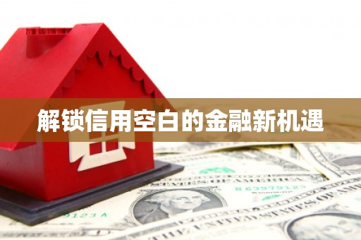 金寨解锁信用空白的金融新机遇