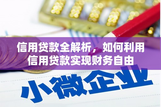 金寨信用贷款全解析，如何利用信用贷款实现财务自由