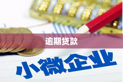 金寨逾期贷款