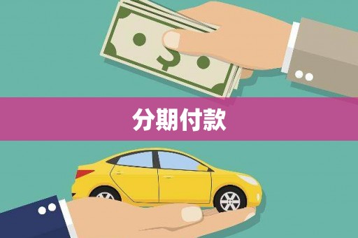 金寨分期付款