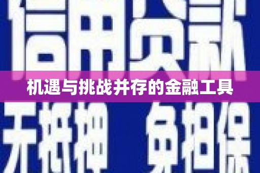 金寨机遇与挑战并存的金融工具