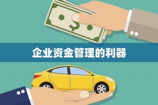 金寨企业资金管理的利器