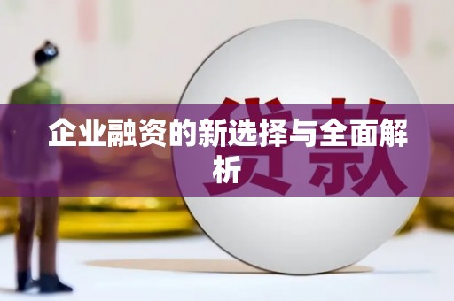 金寨企业融资的新选择与全面解析