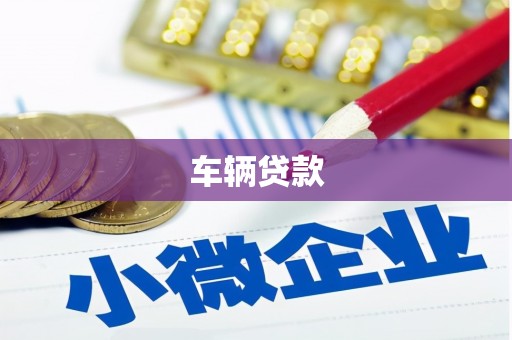 金寨车辆贷款