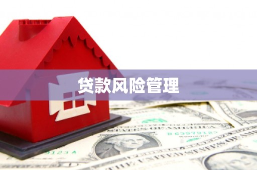 金寨贷款风险管理