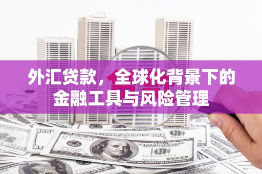 金寨外汇贷款，全球化背景下的金融工具与风险管理