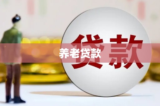 金寨养老贷款