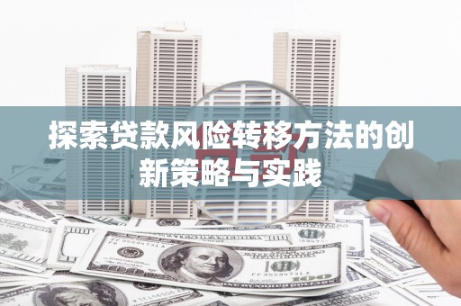 金寨探索贷款风险转移方法的创新策略与实践