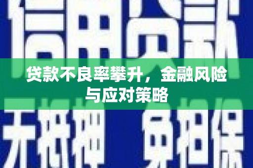 金寨贷款不良率攀升，金融风险与应对策略