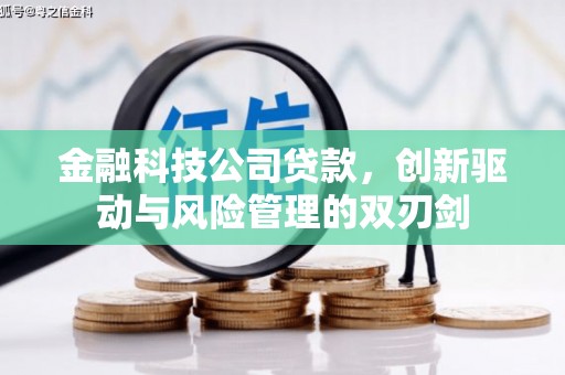 金寨金融科技公司贷款，创新驱动与风险管理的双刃剑